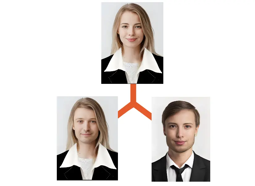 A Playground for All AI Face Swaps